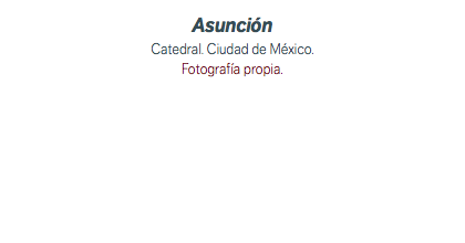 Asunción Catedral. Ciudad de México. Fotografía propia.