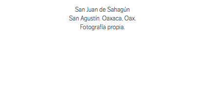 San Juan de Sahagún San Agustín. Oaxaca, Oax. Fotografía propia.