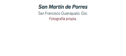 San Martín de Porres San Francisco Guanajuato, Gto. Fotografía propia.