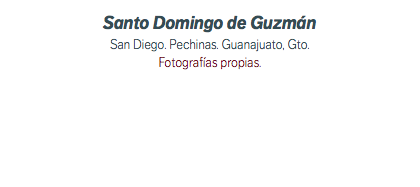 Santo Domingo de Guzmán San Diego. Pechinas. Guanajuato, Gto. Fotografías propias. 