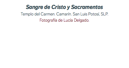 Sangre de Cristo y Sacramentos Templo del Carmen. Camarín. San Luis Potosí, SLP. Fotografía de Lucía Delgado.