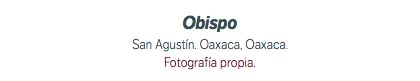 Obispo San Agustín. Oaxaca, Oaxaca. Fotografía propia.