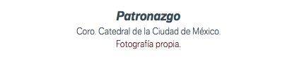 Patronazgo Coro. Catedral de la Ciudad de México. Fotografía propia.
