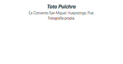 Tota Pulchra Ex Convento San Miguel. Huejotzingo, Pue. Fotografía propia.