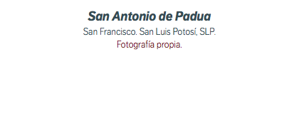 San Antonio de Padua San Francisco. San Luis Potosí, SLP. Fotografía propia.
