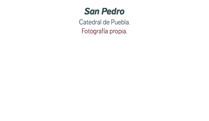 San Pedro Catedral de Puebla. Fotografía propia.