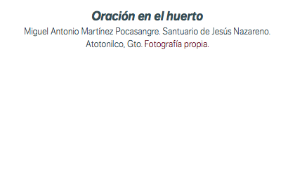 Oración en el huerto Miguel Antonio Martínez Pocasangre. Santuario de Jesús Nazareno. Atotonilco, Gto. Fotografía propia.