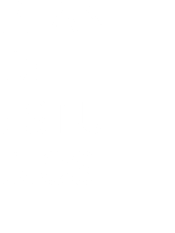 PLAN DE ESTU- DIOS